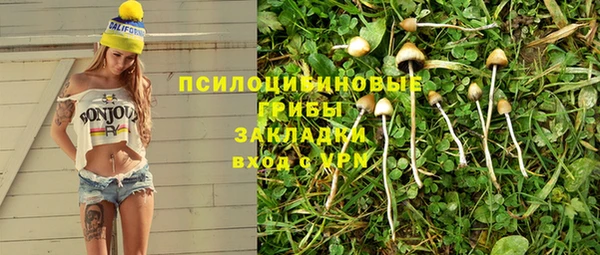 каннабис Гусев