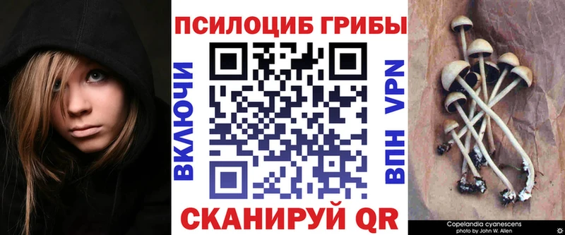 OMG ТОР Москва Галлюциногенные грибы MAGIC MUSHROOMS
